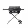Masterbuilt Portable Charcoal Grill And Smoker With Cart Grills